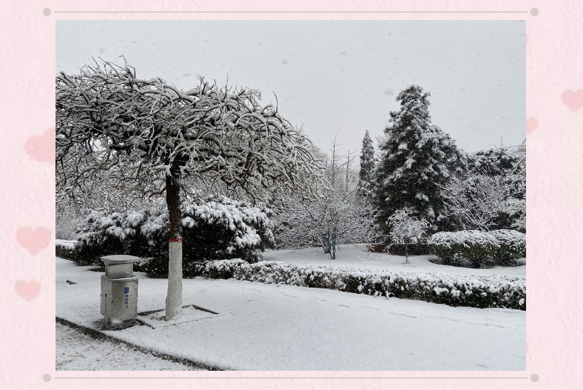 pg���d-pg���d�ٷ���-pg���d���b2025���°�V2.7.77-2265��׿�W(w��ng)